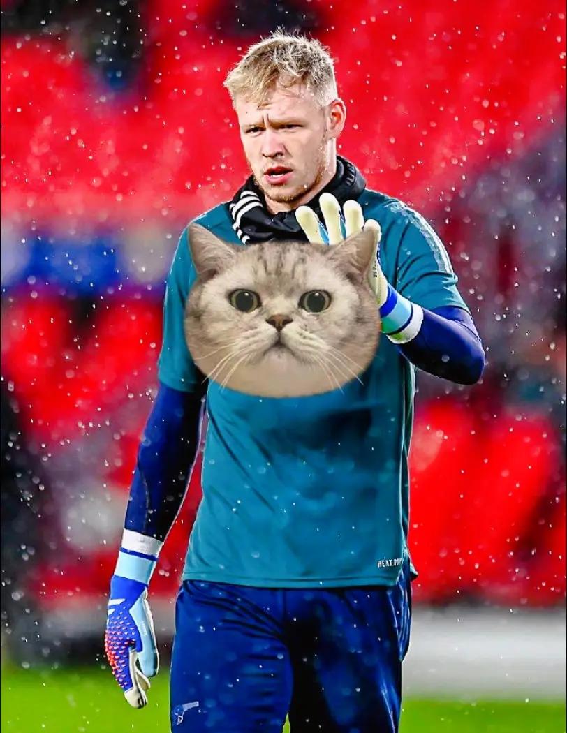 爱游戏体育-埃因霍温训练开放日,今晨强势反弹引欢呼,欧冠在即,医务组通报恢复的简单介绍